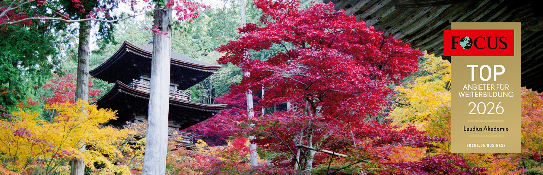 Japanisch für Anfänger*innen (A1)