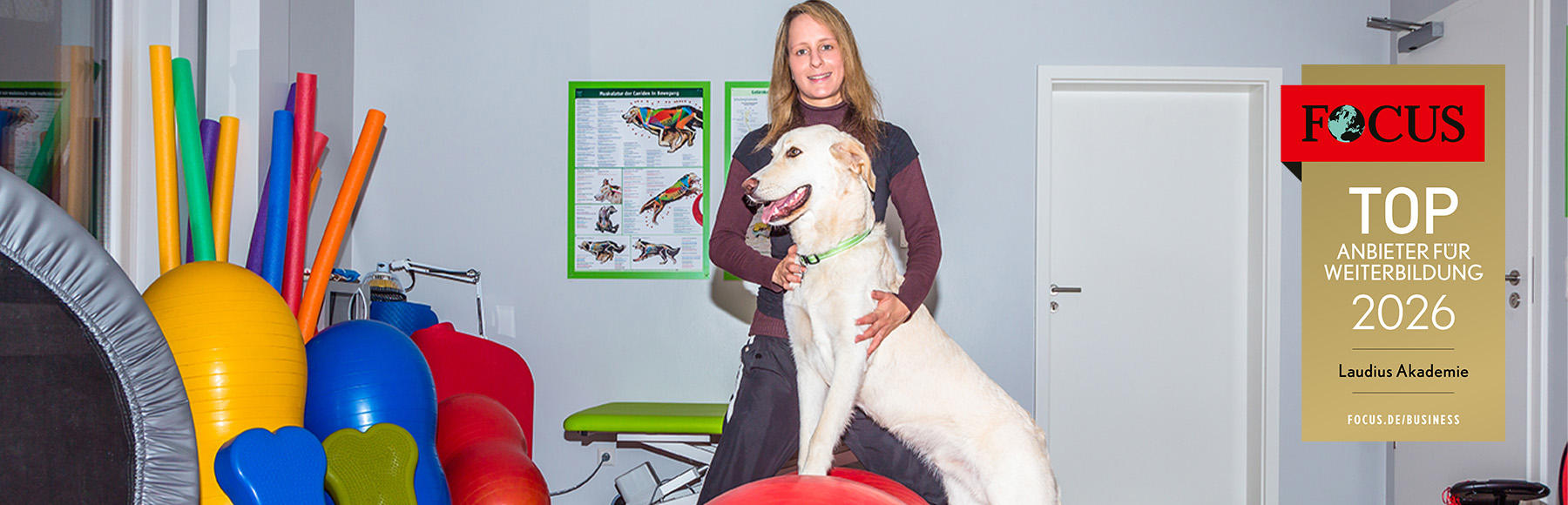 Tierphysiotherapeut*in