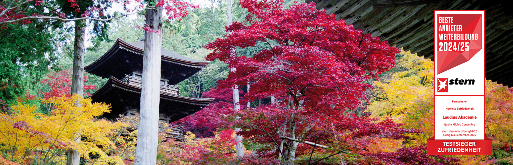 Japanisch für Anfänger*innen (A1)
