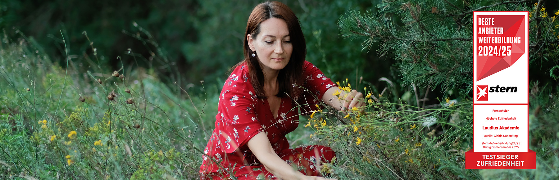 Phytotherapie